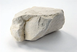 Sedimentary Rock Formation Stampe: Sample of chalk