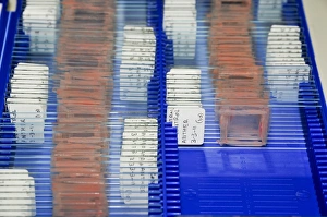 Laboratory Equipment Photos Stampe: Sample Sides in a lab