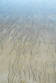 Low Tide Beach Stampe: Sand patterns
