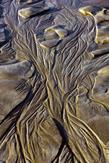 Devon Coastline Photos Stampe: Sand patterns at low tide
