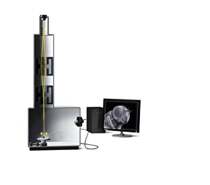 Scanning Electron Microscope Image Stampe: Scanning electron microscope, artwork