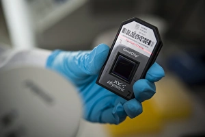 Esame del microarray genetico C019/0286