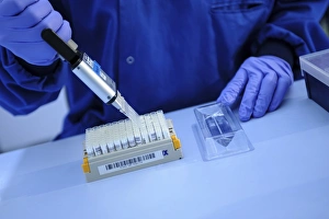 Scientist In Lab Coat Stampe: Scientist using multipipette