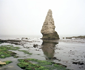 English Seaside Landscape Stampe: Sea stack