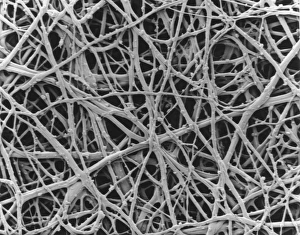 Stampe di Membrana dell'uovo di gallina. Micrografia elettronica a scansione (SEM) della membrana interna del conchiglia dell'uovo di gallina Immagini datate 2005 luglio: Membrana interna della schiuma di uovo di gallina