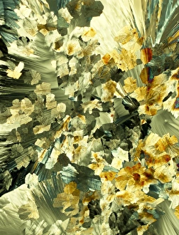 Polarised Light Microscopy Images Stampe: Serotonin crystals, light micrograph