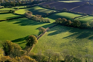English Autumn Landscapes Stampe: Shadows across fields, Devon, UK