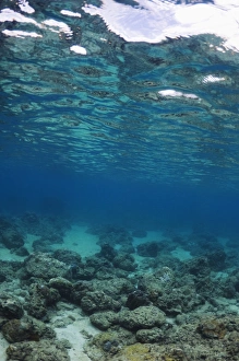 Tropical Ocean Scene Stampe: Shallow reef
