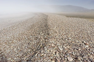 British Seaside Scene Stampe: Shingle on a beach