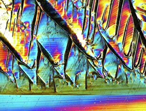 Immagini datate 2013: Crystallo di silicio, fotomicrografo leggero