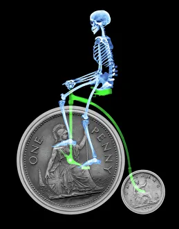 Osso su una bicicletta inglese antica