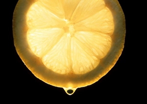 Lemon Slice Stampe: Slice of lemon
