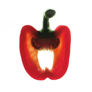 Stampe botaniche: Peperone rosso tagliato