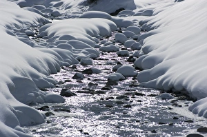 Alpine Winter Scenery Stampe: Snow and stream