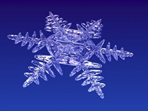 Ice Crystal Formation Stampe: Snowflake, artwork