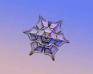 Ice Crystal Formation Stampe: Snowflake, light micrograph