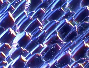 Environmentally Friendly Power Generation Stampe: Solar cell, micrograph