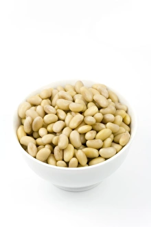 Legume Plant Stampe: Soya beans