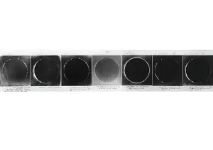 Solar Eclipse Photography Stampe: Total solar eclipse, 1860