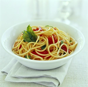 Pasta Types Stampe: Spaghetti