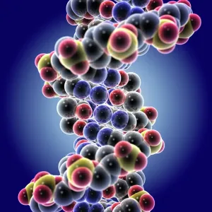 IL DNA Stampe: Molecola di DNA