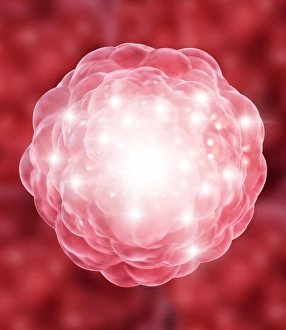 Stem Cell Biology Stampe: Stem cell, conceptual artwork