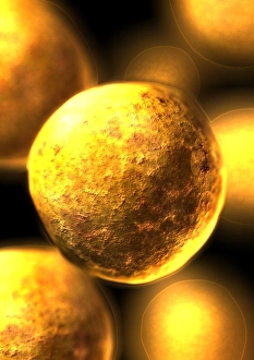 Stem Cell Research Stampe: Stem cells
