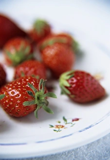 Strawberry Nutrition Stampe: Strawberries