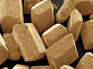 Stampe di Crystalli di zucchero. Micrografia a colori con risonanza elettrica scansione (SEM) dei cristallini del canapa da zucchero (sucrosa). La sucrosa viene estratta dallo zucchino o dalla barbabietola Immagini datate 2000: Cr Crystallo di zucchero