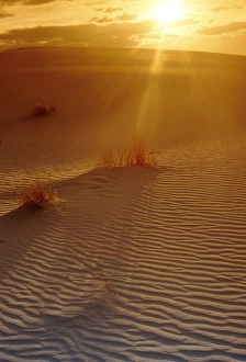 Red Sky At Sunset Stampe: Sunset in the desert