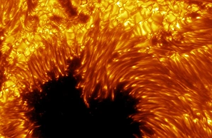 Cosmology Images Stampe: Sunspot
