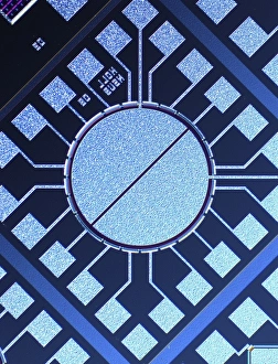 Light Micrograph Images Stampe: Surface of microchip, light micrograph C018 / 6389
