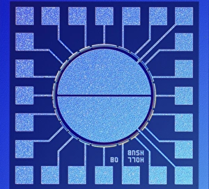Light Micrograph Images Stampe: Surface of microchip, light micrograph C018 / 6394