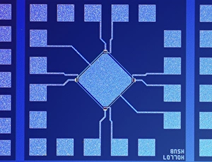 Light Micrograph Images Stampe: Surface of microchip, light micrograph C018 / 6398