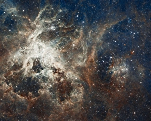Telescopio Hubble Stampe: Nebbia di Taranta, immagine composta