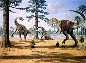Late Cretaceous Period Stampe: Tarbosaurus