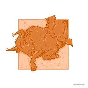 Stampe di Tauri. L'opera d'arte che rappresenta Tauri il Toro (21 aprile al 20 maggio), secondo dei segni stellari tra i dodici Immagini datate 2006 febbraio: Taurus