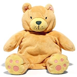 Vintage Teddy Bears Stampe: Teddy bear