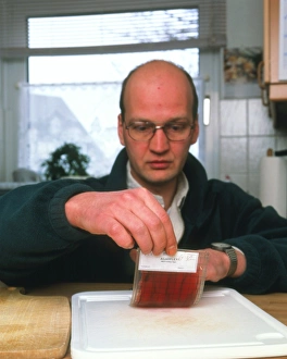 Scientist In Lab Coat Stampe: Testing for bacteria