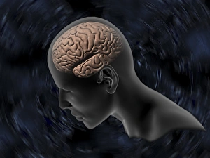 Central Nervous System CNS Stampe: Thinking, computer artwork