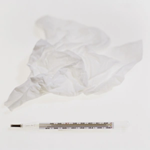 Medical Thermometer Stampe: Tissue and thermometer