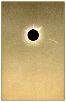 Stampe di Eclissi solare totale del 1882 e cometa Immagini datate 2010 agosto: Oscillazione totale del sole dell'anno 1882 e cometa