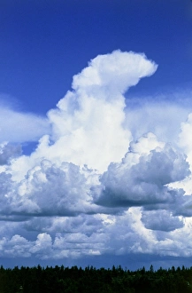 Cumulonimbus Clouds Stampe: Towering cumulus clouds