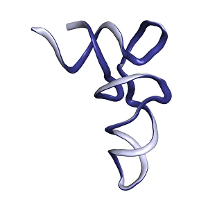 Protein Synthesis Process Stampe: tRNA molecule