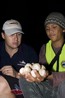 Endangered Sea Turtles Stampe: Turtle conservation