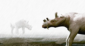 Eocene Epoch Fossils Stampe: Uintatherium