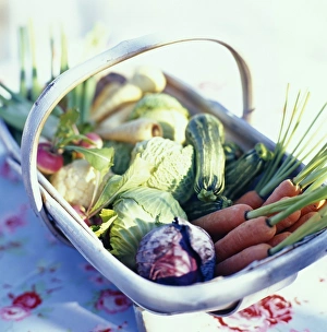 Basket Of Vegetables Stampe: Vegetable basket
