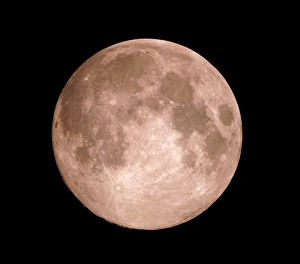 Planetary Science Images Stampe: View of the full moon