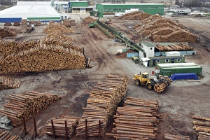 Timber Industry Photos Stampe: View of a timber yard