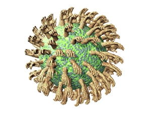 Stampe di Il virus è un'opera d'arte informatica concettuale Immagini datate 2006 dicembre: Il virus con le mani